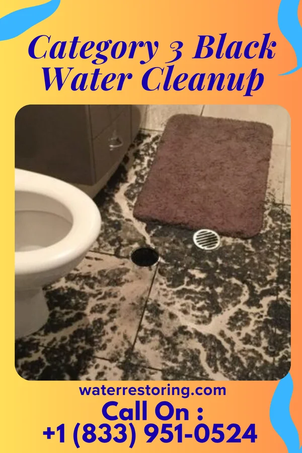 Category 3 Black Water Cleanup in Schoolcraft, MI