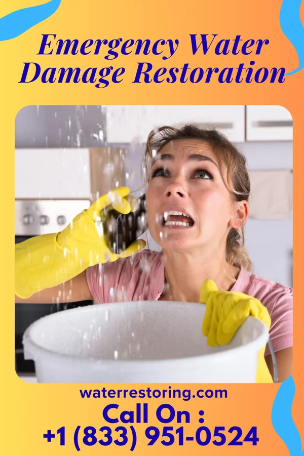 Emergency Water Damage Restoration in Schoolcraft, MI