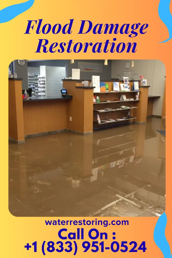 Flood Damage Restoration in Schoolcraft, MI