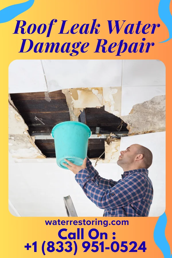Roof Leak Water Damage Repair in Schoolcraft, MI