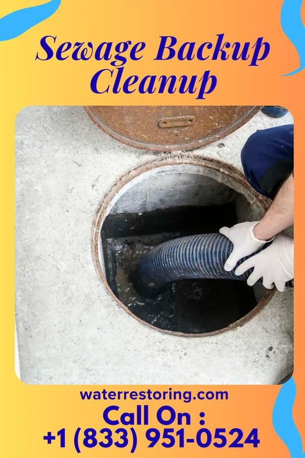 Sewage Backup Cleanup in Schoolcraft, MI